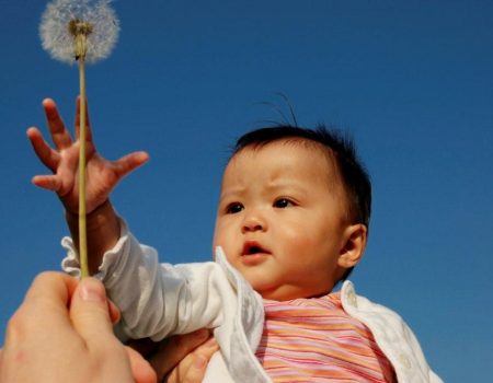 istock_000001847097large_dandelion_child.jpg