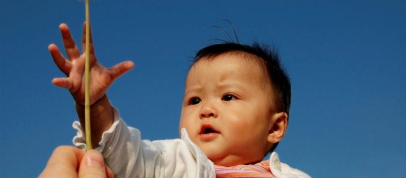 istock_000001847097large_dandelion_child.jpg